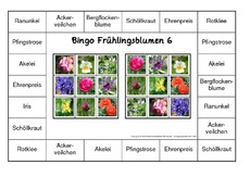 Bingo-Frühlingsblüten-6.pdf